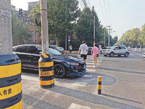 強化斑馬線權威 完善交通設施，守護生命安全